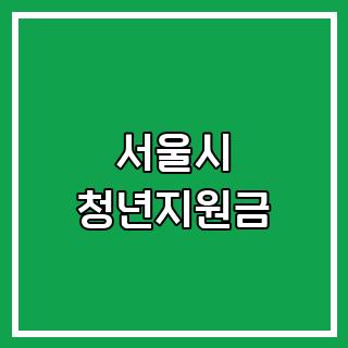 서울시 청년지원금